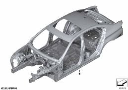 BODY SKELETON