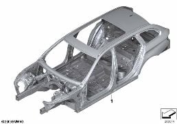 BODY SKELETON