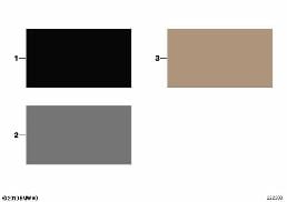 SAMPLE CHART WITH INTERIOR COLORS diagram for BMW 5 Series E60 523i