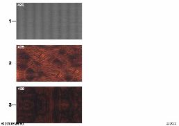 SAMPLE CHART WITH INTERIOR MOLDINGS diagram for BMW 3 Series E46 318i