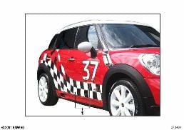 PIN-STRIPE DECAL KIT