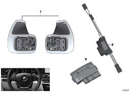 STEERING WHEEL MODULE AND SHIFT PADDLES