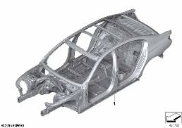 BODY SKELETON