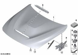 HOOD / MOUNTED PARTS