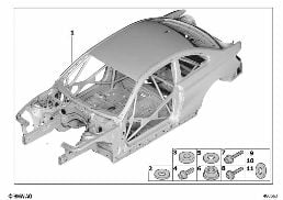 BODY SKELETON