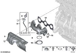 Egzoz manifoldu-AGR diagram for BMW 1 Series F21 LCI 116d