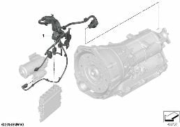 WIRING HARNESS, ENGINE TRANS. MODULE diagram for BMW 3 Series G20 Sedan 320i