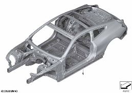 BODY SKELETON