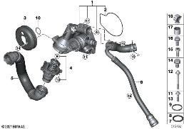 Kühlsystem-Wasserpumpe/Thermostat diagram for BMW 3 Series F80 M3 M3
