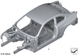 BODY SKELETON