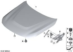 HOOD / MOUNTED PARTS