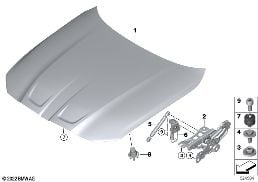 HOOD / MOUNTED PARTS