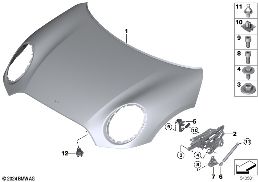 HOOD / MOUNTED PARTS