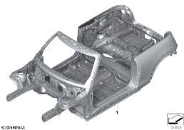 BODY SKELETON
