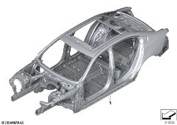 BODY SKELETON