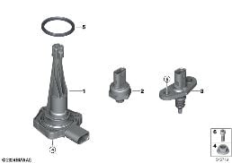 SENSOR SYSTEM FOR ENGINE diagram for BMW 5 Series G60 Sedan 520i