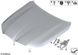 HOOD / MOUNTED PARTS