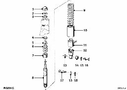 SPRING STRUT, REAR